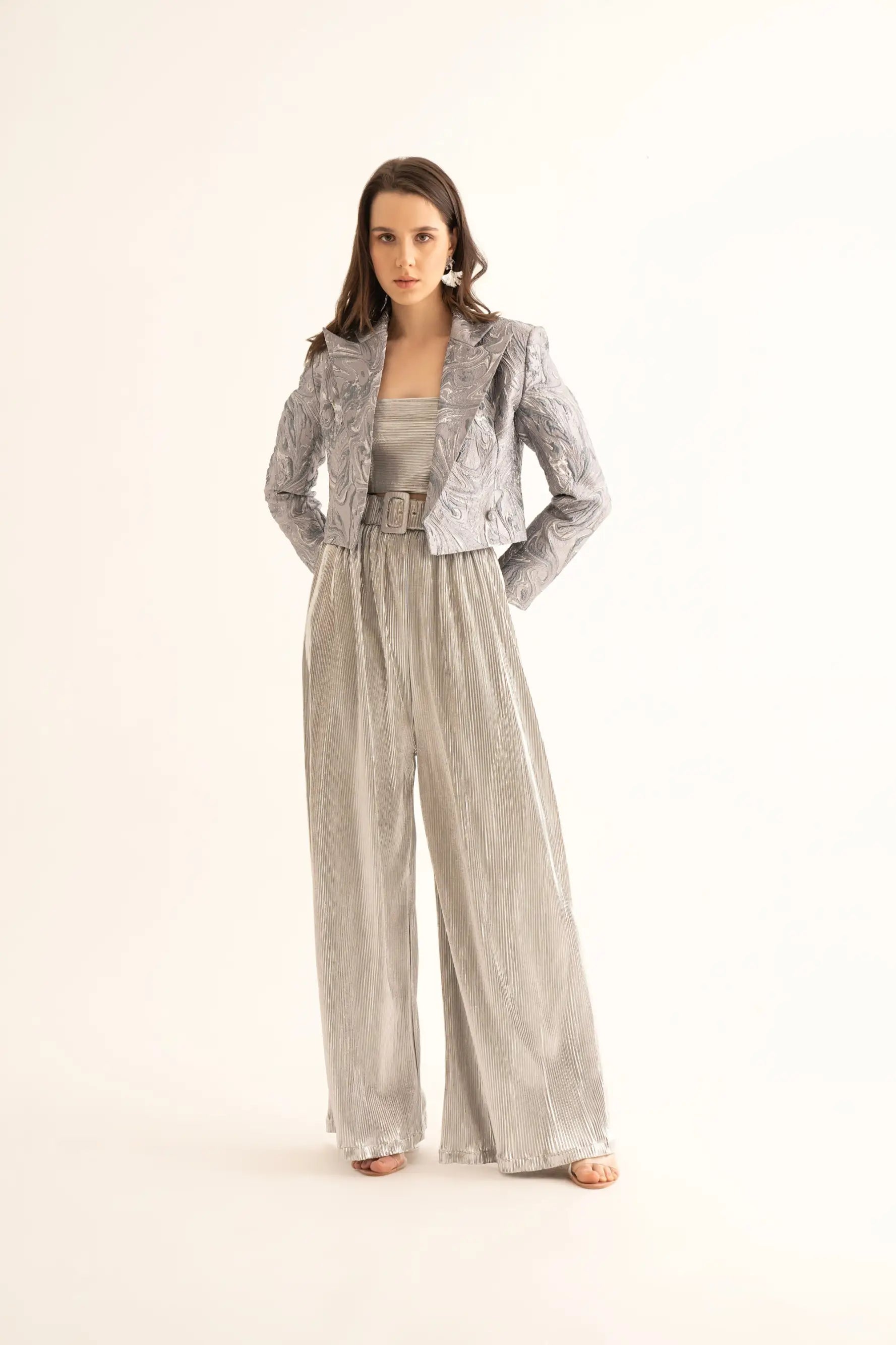 Silver Frost Crop Blazer, Crop Top and Silver Pleated Belted Pants Co-ord Set Houndstooth Herringbone Solid Silver Frost Crop Blazer, Crop Top and Silver Pleated Belted Pants Co-ord Set Houndstooth Herringbone Solid